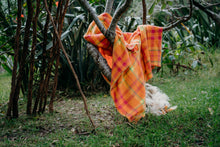 Load image into Gallery viewer, "Tangy Fruits" (New Wool) SINGLE New Zealand Wool Blanket