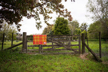 Load image into Gallery viewer, "Tangy Fruits" (New Wool) KNEE RUG/COT New Zealand Wool Blanket