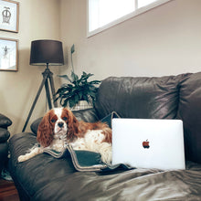 Load image into Gallery viewer, Hot Coal LIMITED RELEASE, NEW NZ Wool Blanket KNEE/THROW Size