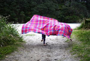 PINK MISFIT! (New Wool) SINGLE NZ Wool Blanket